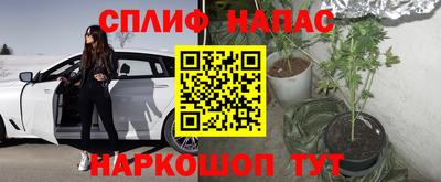 мет Камышлов