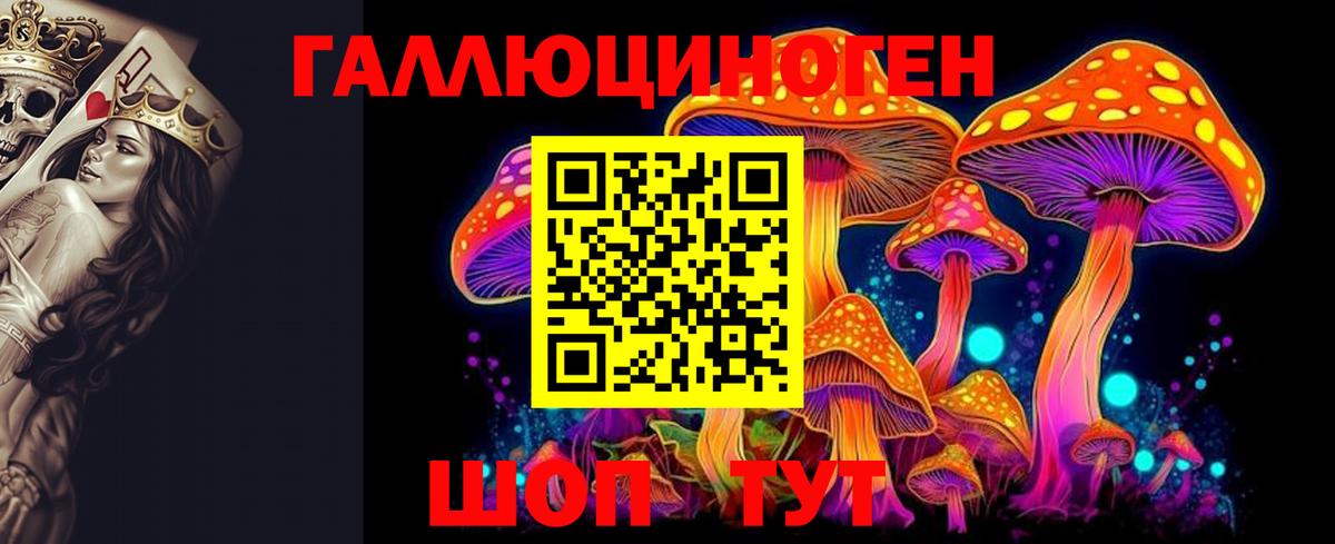 Галлюциногенные грибы Psilocybine cubensis  Галлюциногенные грибы мицелий  Коломна  Вход с VPN 
